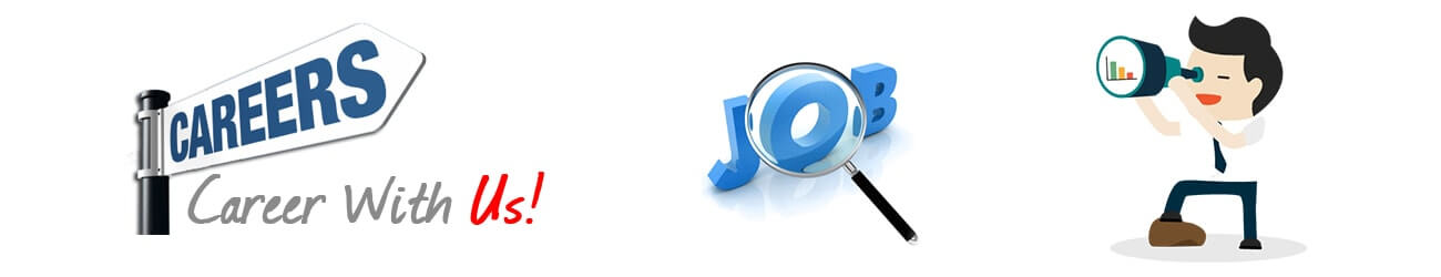 career in web designing