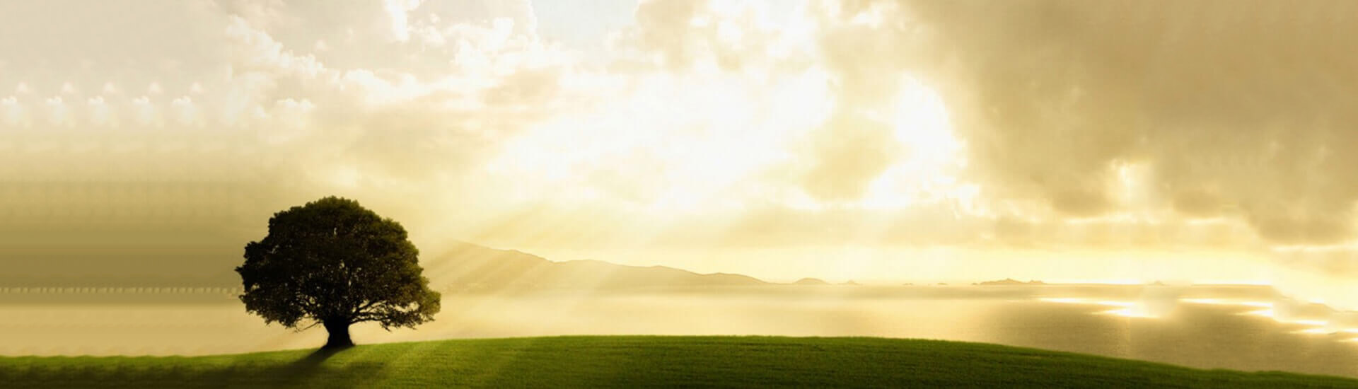graphic design slider