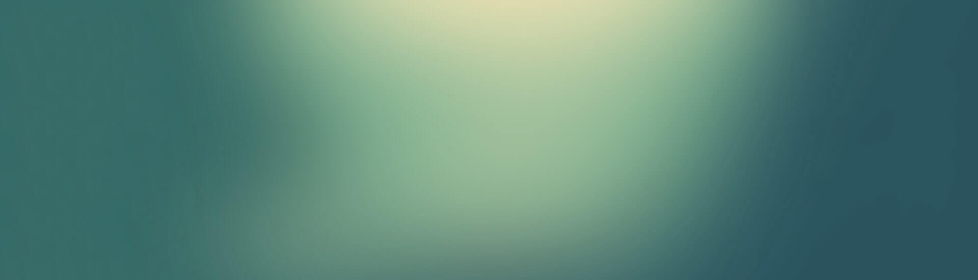 web development slider